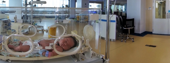 新生儿远程探视