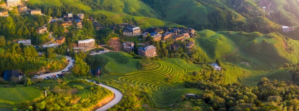 中国电信：数字乡村